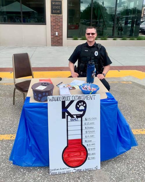 WPD grant
