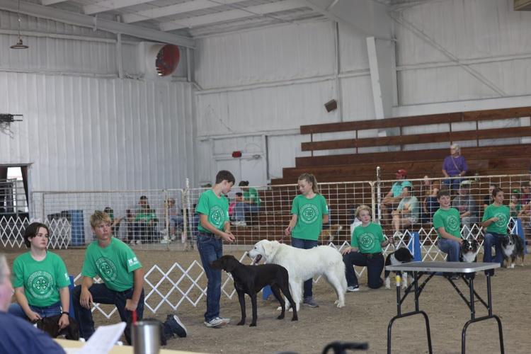 Showmanship champion reflects on her win at the Lincoln County Fair dog show