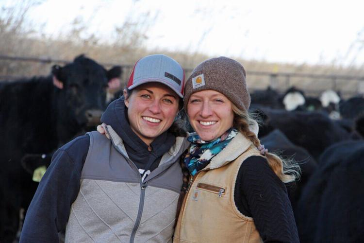 Broadwater rancher produces specialized beef cuts