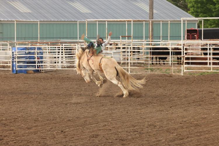 Rodeo