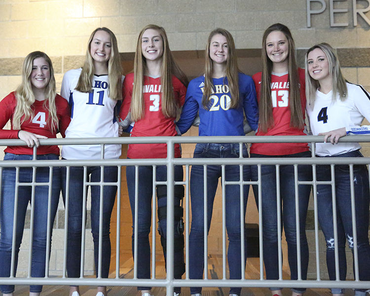 All-Area Volleyball