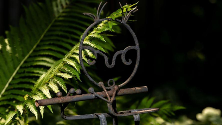 070923-owh-liv-marjgardenco-pic-cm04