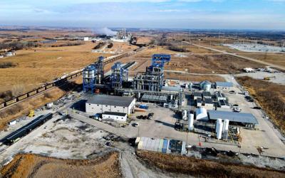 Monolith Plant, 2.25