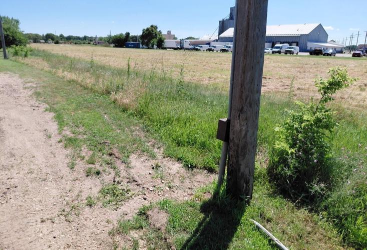 Weed abatement 3.jpg