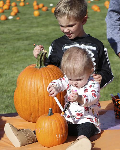 Pumpkins in the Park