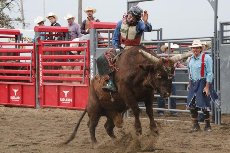 bull riding 1