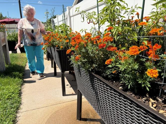 Sertoma award - little marigolds
