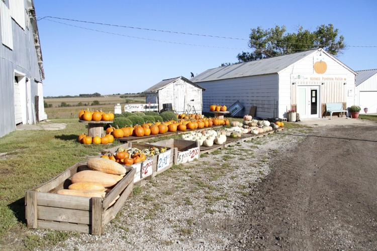 farm