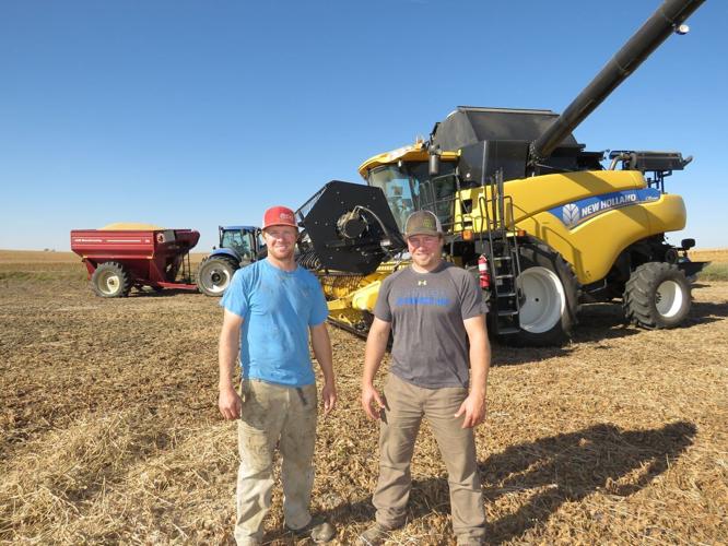 Young Farmer/COPYRIGHT RESTRICTED