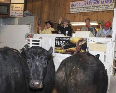 Sale Barn Holds Big Auction News Wahoo Ashland Waverly Com