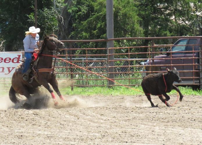 sumner-rodeo-p4 - breakaway roping