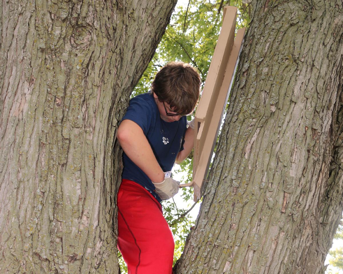 Ashland Teen S Project Focuses On Bat Houses Latest News Wahoo Ashland Waverly Com