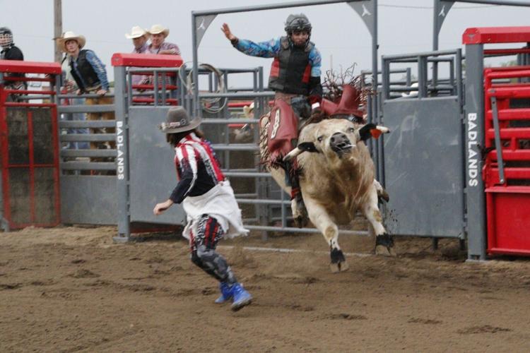 bull riding 3