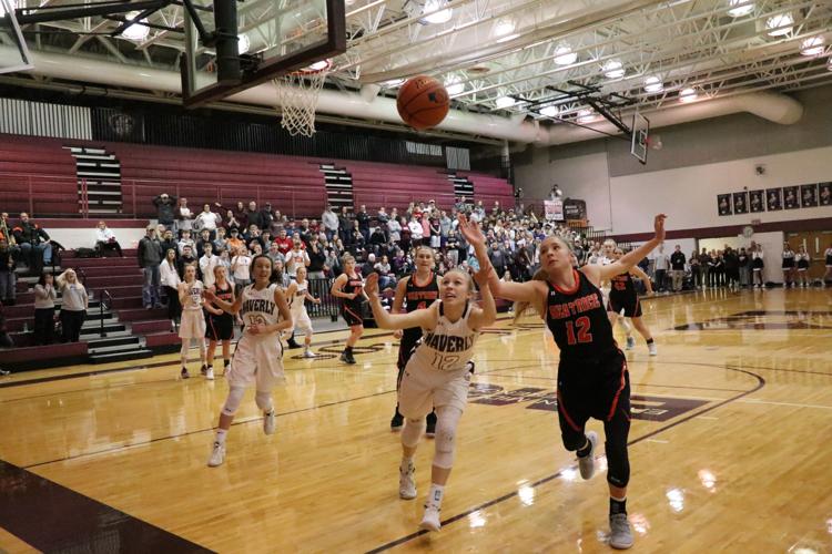 lambrecht rebound.JPG