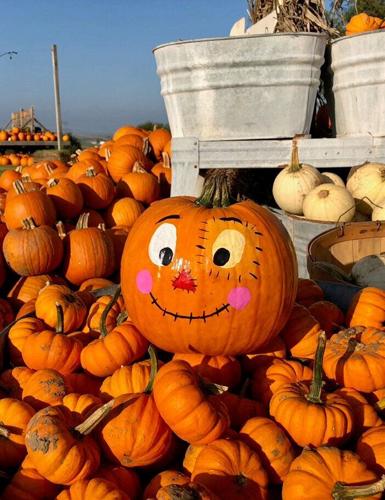 100123-owh-mom-pumpkin-p3