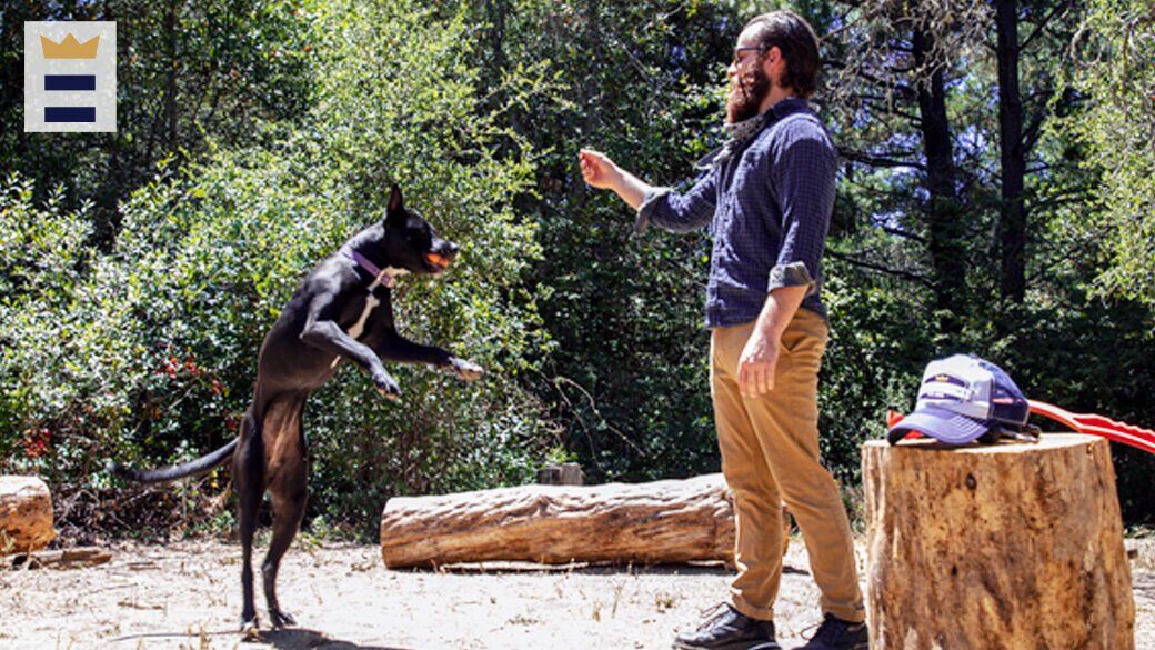 When choosing a fetch-toy for your dog, ensure you consider the durability and safety of the material, the suitability of its size and style, along with your dog's favorite goodies.