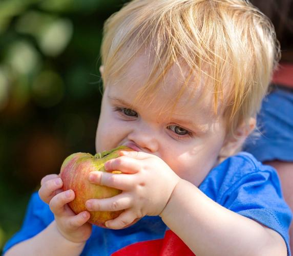 AppleJack Festival 2023