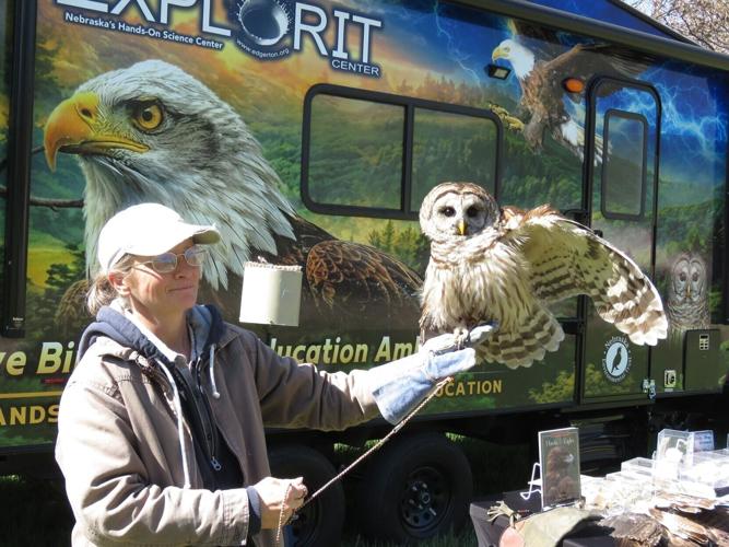 outdoor-fun-p4 - barred owl