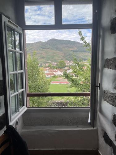 Window view