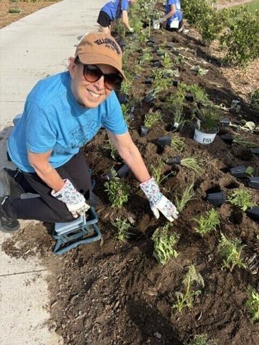 big dig - p6 - first timer