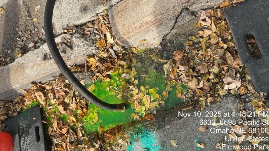 November Pacific dye test