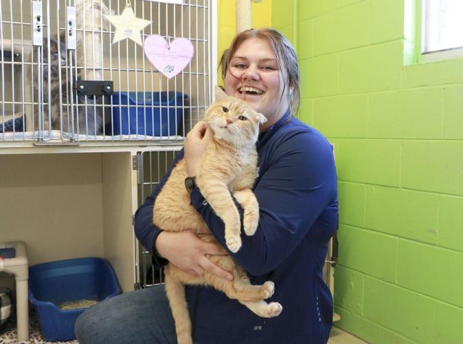 Rescued animals bring long days, hopeful outcomes at Panhandle Humane Society
