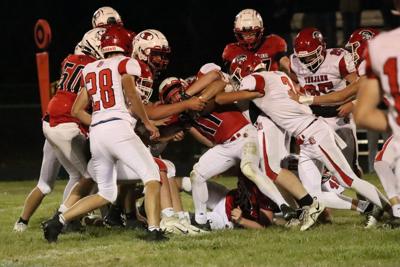 B Wentworth surrounded.JPG