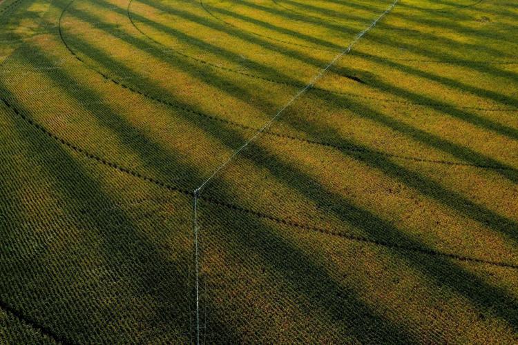 110122-owh-new-irrigation-cm004