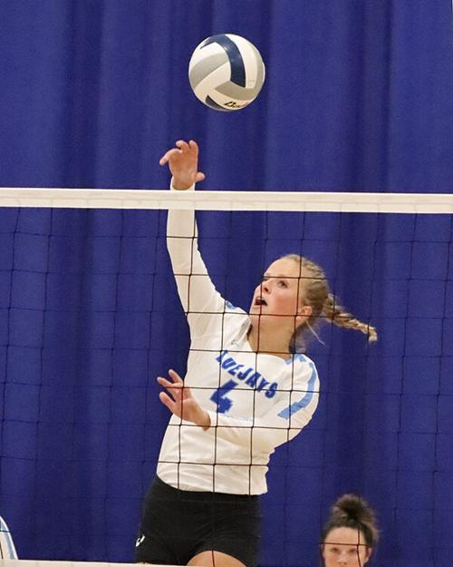 Bluejay volleyball
