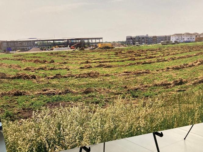 Future cancer center home