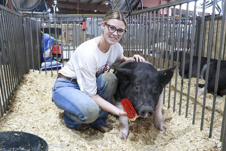 "Hard work pays off": Miss Scotts Bluff County Fair's Teen juggles pageant, fair, future in ag