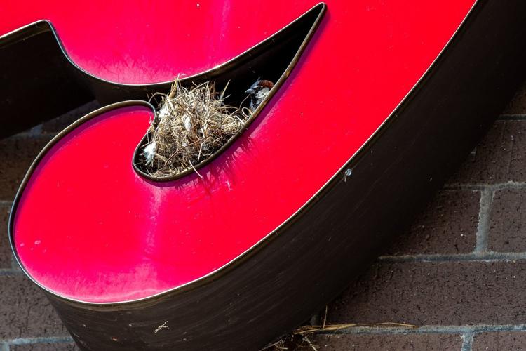 20200411_new_aprilgallery_26