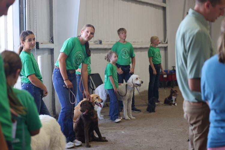 Showmanship champion reflects on her win at the Lincoln County Fair dog show