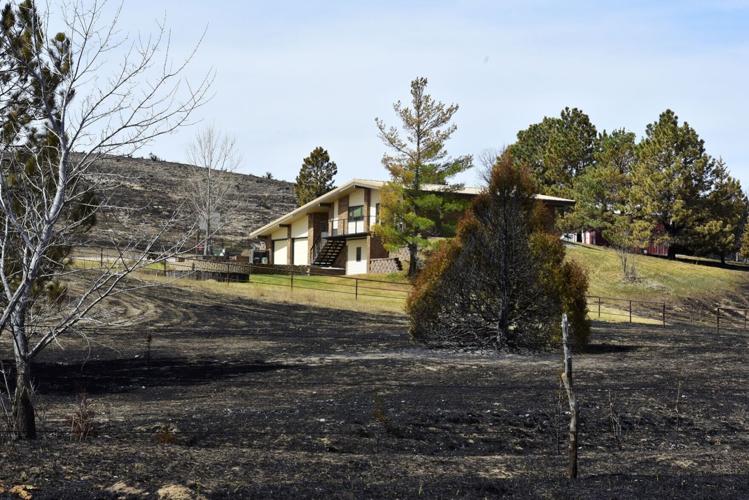 Massive wildfires dealt another blow to ranchers; climate change may make them more common