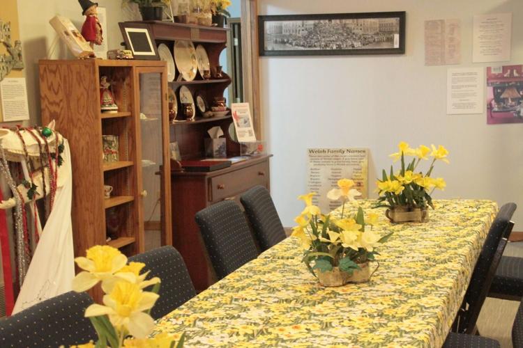 daffodils