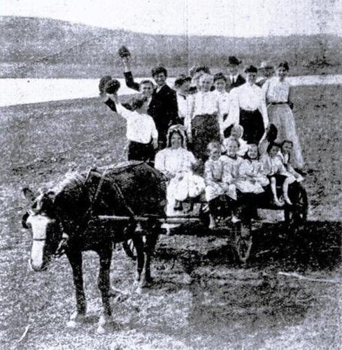 Theodore Williams family on Benson farm