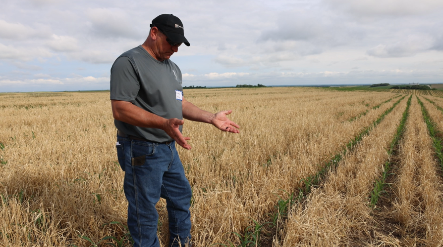 Greg Keller in his field
