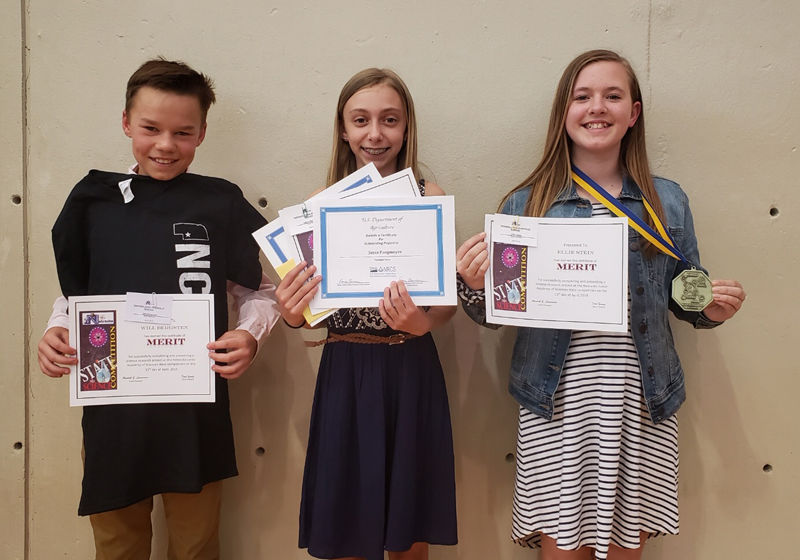 State Science Fair