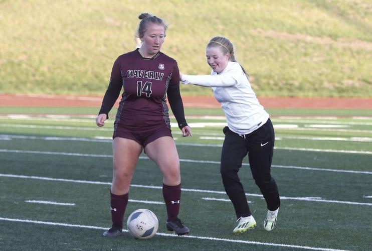 Cali Springer(1).jpg