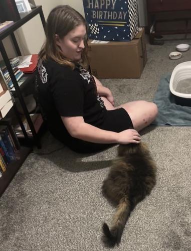 found-cat-1