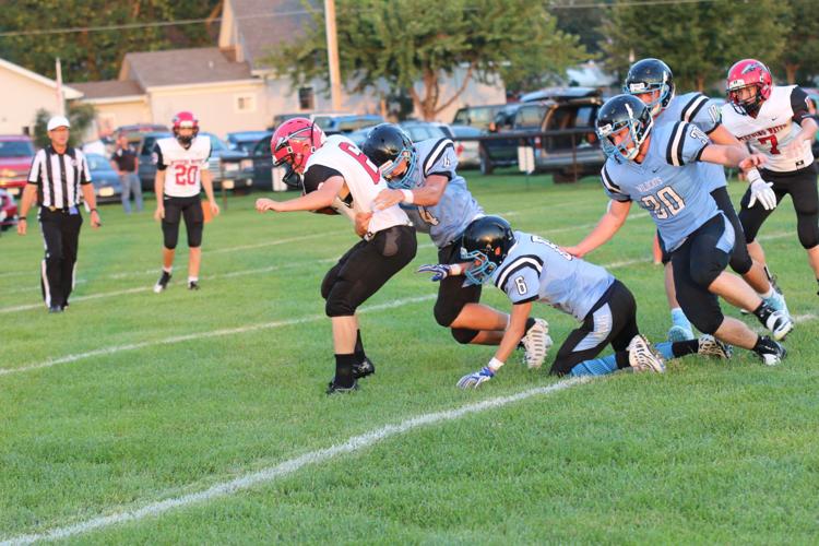 wildcate defense 3.JPG