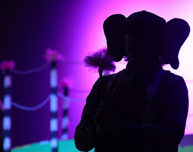 Seussical the Musical 8.jpg