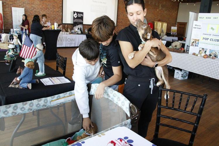 nonprofit fair