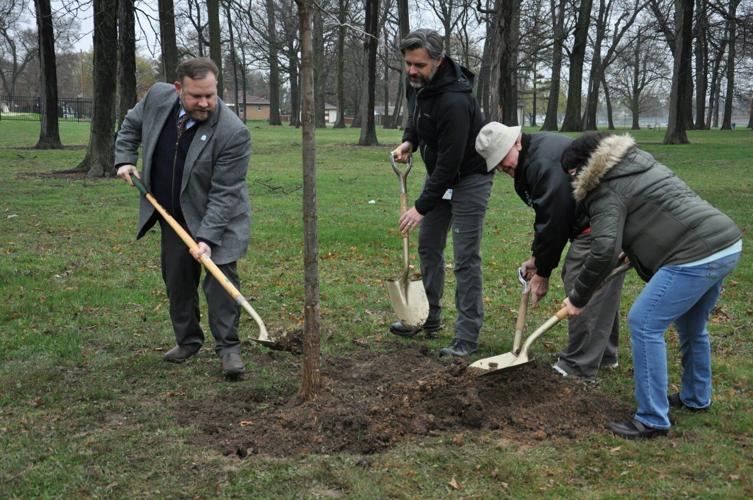Koepnick plants a tree at Pierce Park in 2019