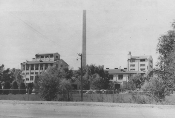 Agricultural roots create path to lifelong career