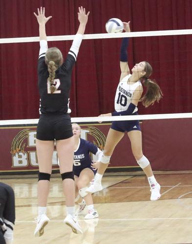 Madelyn Lubischer (1).jpg