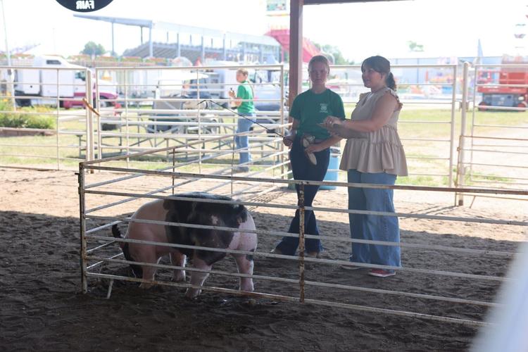 Avery Heinrich with swine judge at Butler County Fair