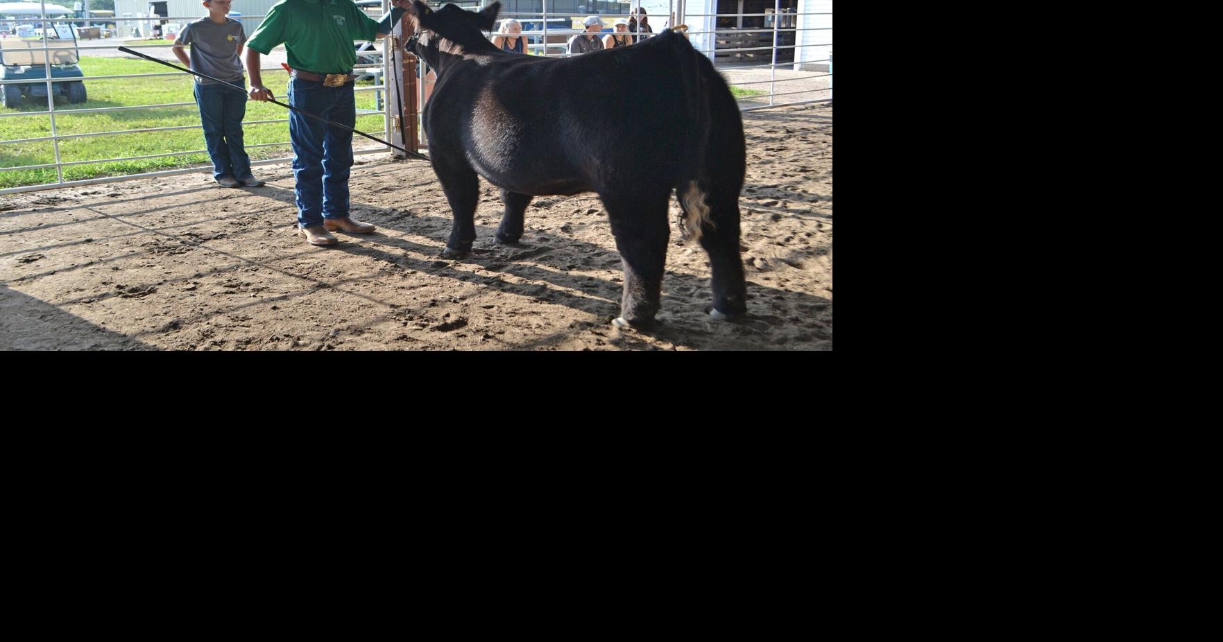 Butler County Fair bringing best of the county, family fun July 14-19