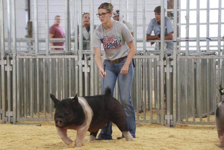 "Hard work pays off": Miss Scotts Bluff County Fair's Teen juggles pageant, fair, future in ag