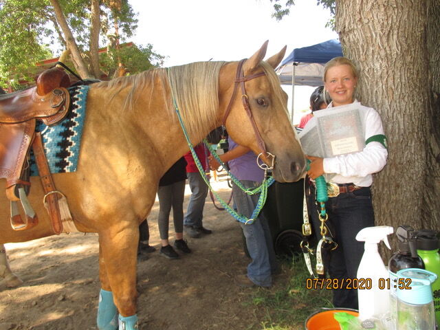 Horse show